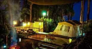 Akhir Pekan Mau Ngapain? Cobain Camping Santai di 3 Tempat Ini, Deh!
