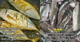 Astaga! Alasan Wanita Ini Menolak Ikan Bikin Gak Habis Pikir!