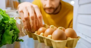 Bikin Emosi! Kok Tega Sih Ngambil Jatah Makanan Teman Sendiri?