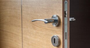 Bingung Pilih Pintu? Ini Dia Material Pintu Rumah yang Bisa Jadi Pertimbanganmu!