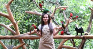 Escape Singkat dari Jakarta? 5 Destinasi Alam Ini Bisa Jadi Obat Rindu!