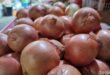 Geger! 21 Ton Bawang Bombai Ilegal Selandia Baru Nyaris Lolos