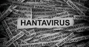 Hati-hati! Virus Hanta, Berapa Hari Gejala Muncul Setelah Terinfeksi?