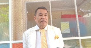Hotman Paris Angkat Bicara Soal Hak Asuh Anak Baim Wong, Ada Apa?