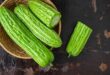 Jangan Remehkan Pare! 5 Alasan Si Pahit Ini Wajib Masuk Menu Makanmu