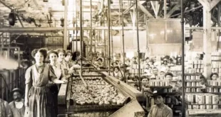 Kisah Epik Del Monte, Lebih dari Satu Abad Mengenyangkan Dunia