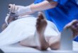Kisah Pilu Dokter Forensik, Mengungkap Rahasia Kematiannya Sendiri
