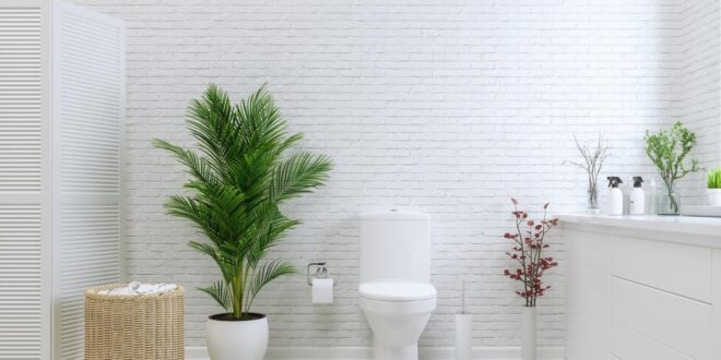 Rahasia Kamar Mandi Wangi Mewah Ala Hotel, Ini Bocorannya!