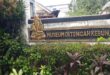 Rahasia Kebun Cantik untuk Healing Budget-Friendly, Seru Banget!