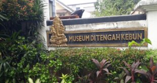 Rahasia Kebun Cantik untuk Healing Budget-Friendly, Seru Banget!