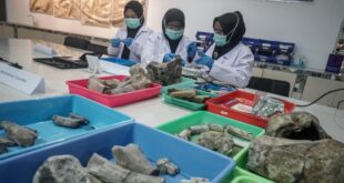 Sragen Menyimpan Kisah Purba yang Menakjubkan, Begini Cara Menjaganya!