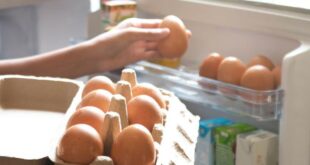 Telur Awet Segar Lebih Lama? Ini Rahasia Penyimpanannya!
