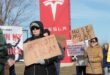 Tesla Kehilangan Arah? Impian Mobil Murah Berakhir Pahit, Pembeli Lari!