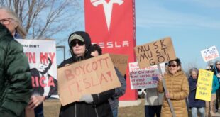 Tesla Kehilangan Arah? Impian Mobil Murah Berakhir Pahit, Pembeli Lari!