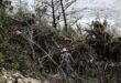 Tragis, Banjir Bandang Texas Renggut Puluhan Nyawa, Dampak Lebih Parah dari Dugaan!