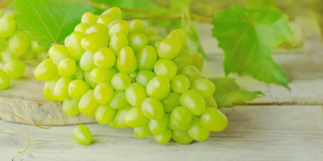 Ups! Ternyata Buah-buahan Ini Bisa Bikin Berat Badan Melonjak?