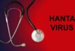 Waspada! Virus Hanta Menyebar di Beberapa Wilayah Indonesia, Bukan Cuma Jawa Barat