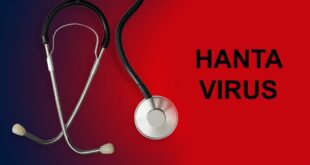 Waspada! Virus Hanta Menyebar di Beberapa Wilayah Indonesia, Bukan Cuma Jawa Barat