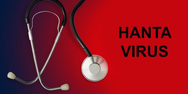 Waspada! Virus Hanta Menyebar di Beberapa Wilayah Indonesia, Bukan Cuma Jawa Barat